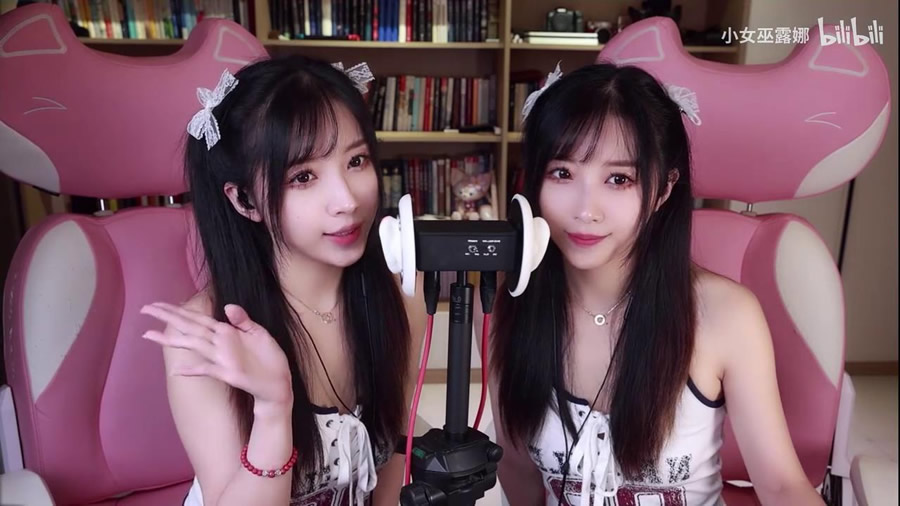 B站小女巫露娜充电专属姐妹双子孔雀鱼 14V 6.8GB